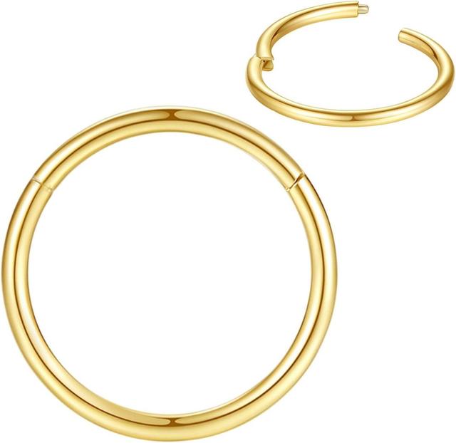Product image of 316L Surgical Steel Nose Rings Hoop Septum Clicker Hinged Segment Ring Lip Ear Piercing Earrings for Cartilage Helix Tragus Conch Rook 20g 18g 16g 14g 12g 10g 8g,Inner Diameter 5mm to 22mm