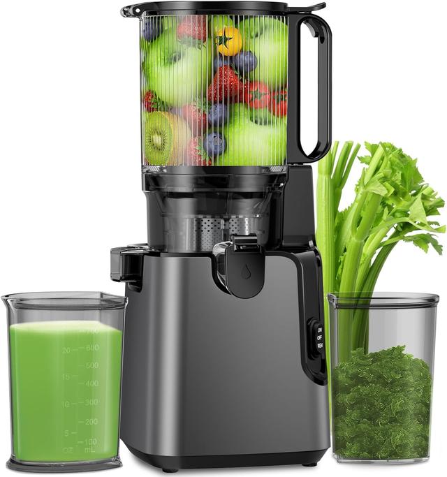 Product image of Juicer Machines with 5.8" Large Feed Chute, Cold Press Juicer For Whole Vegetables and Fruits, 400W Professional Slow Masticating juicer Easy to Clean for Batch Juicing (Titanium Gray)