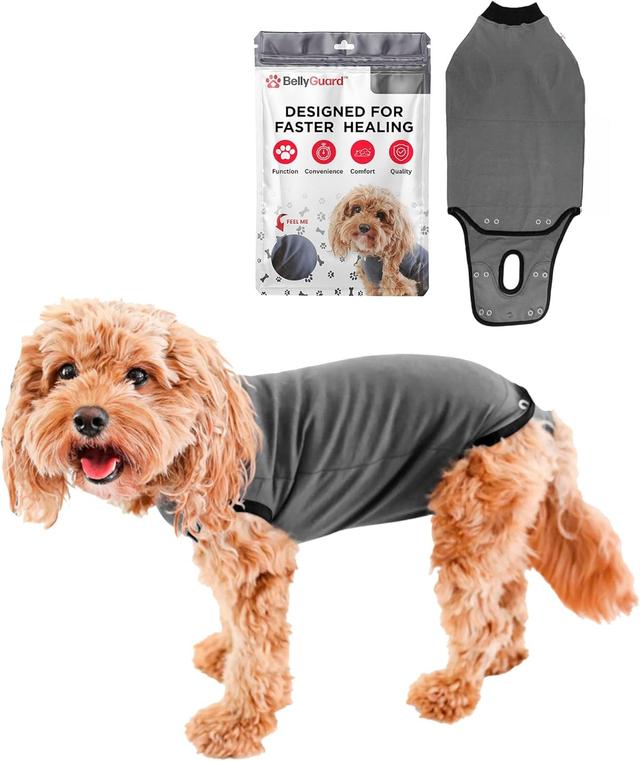 Product image of BellyGuard Recovery Suit for Dogs, Comfy Dog Surgery Suit, Female Spay and Male Neuter Onesie for Post-Op Care