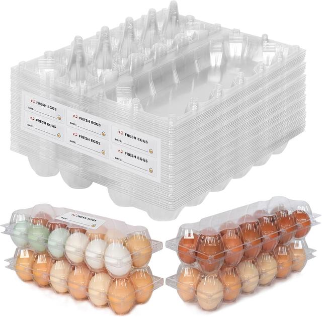 Product image of 60 Packs Egg Cartons Cheap Bulk，Plastic Egg Carton for 12 Eggs， Clear Egg Carton 2 * 6 Grids，Perfect for Refrigerator Chicken Farm Markets Commercial Business Market Display, Large