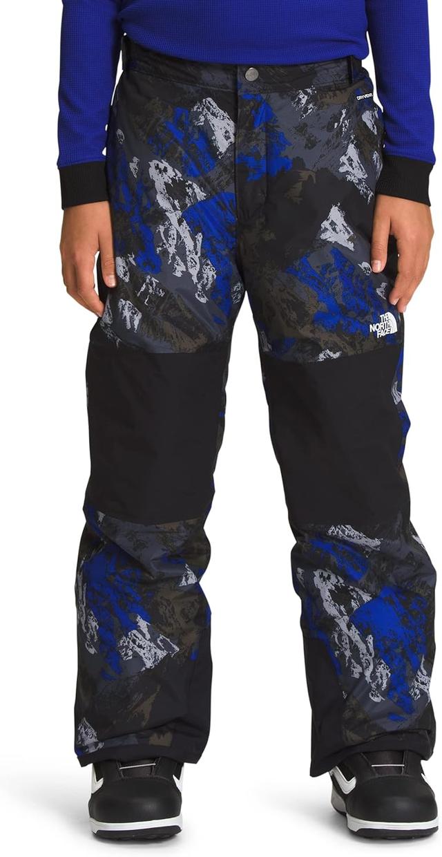 Product image of THE NORTH FACE Boys' Freedom Insulated Pant