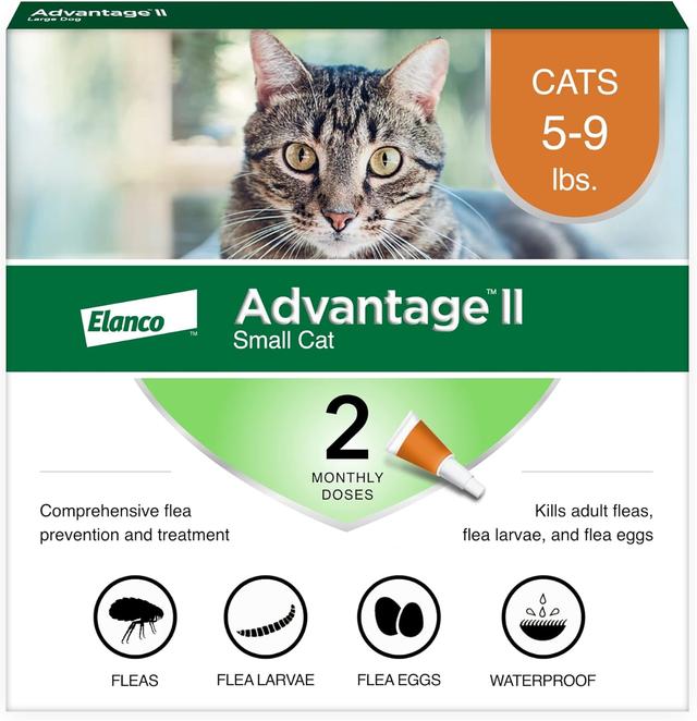 Product image of Advantage II Small Cat Vet-Recommended Flea Treatment & Prevention | Cats 5-9 lbs. | 2-Month Supply
