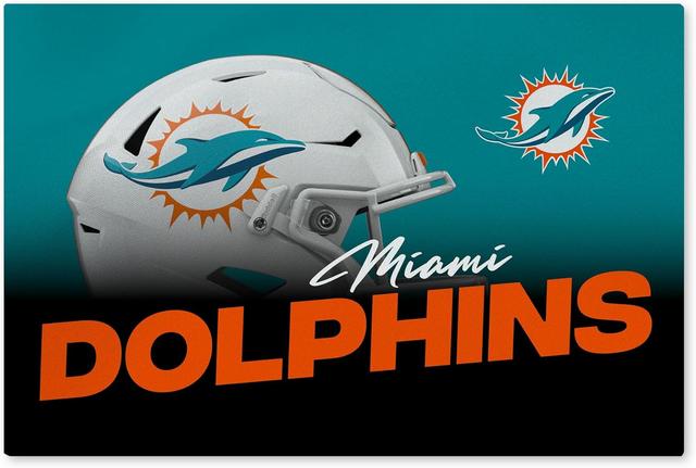 Product image of NORTHWEST NFL 20 X 32 Inch Washable Area Floor Rug, Miami Dolphins