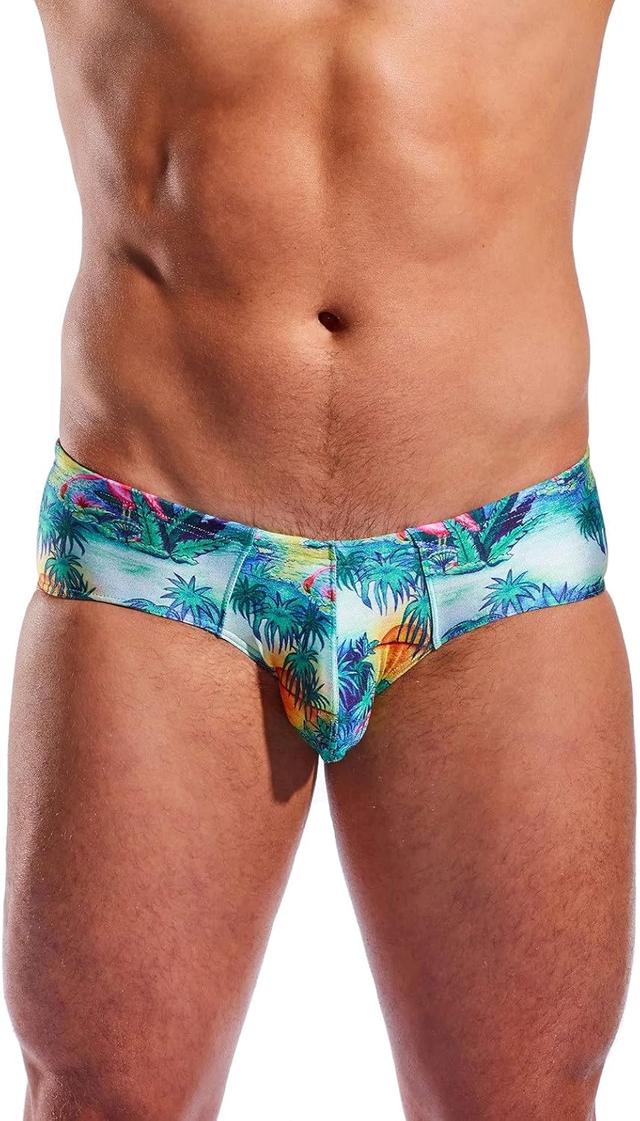 Product image of Boy Leg Swim Brief - CX79PR (Florida Jey