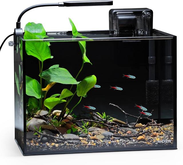 Product image of NICREW 2.5 Gallon Nano Nature Aquarium Kit, Ultra-Clear Rimless Desktop Fish Tank with Light, Filter, Gravel and Rock, Perfect for Small Fish, Shrimp, or Betta, Complete Version