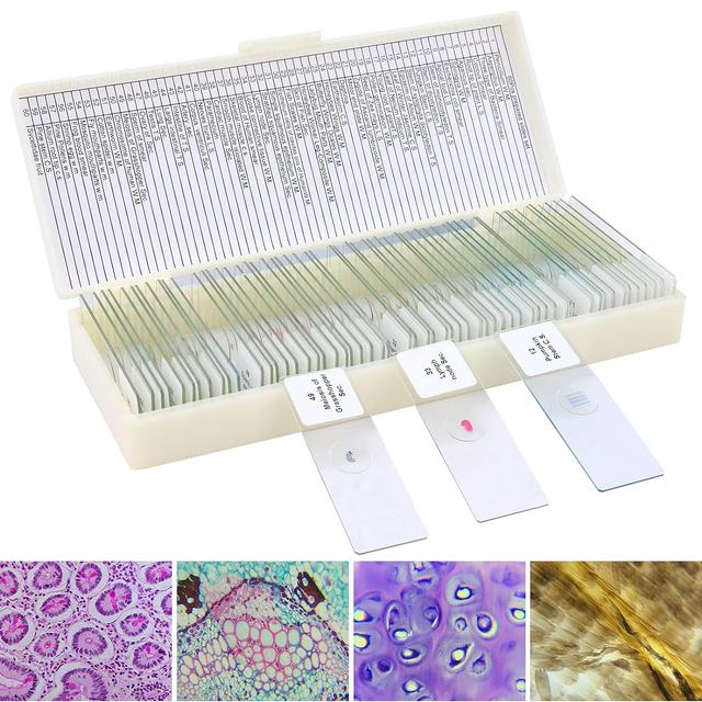 Product image of 60 Microscope Slides with Specimens for Kids, Prepared Microscope Slides for Kids Microbiology, Prepared Microscope Slides for Adults