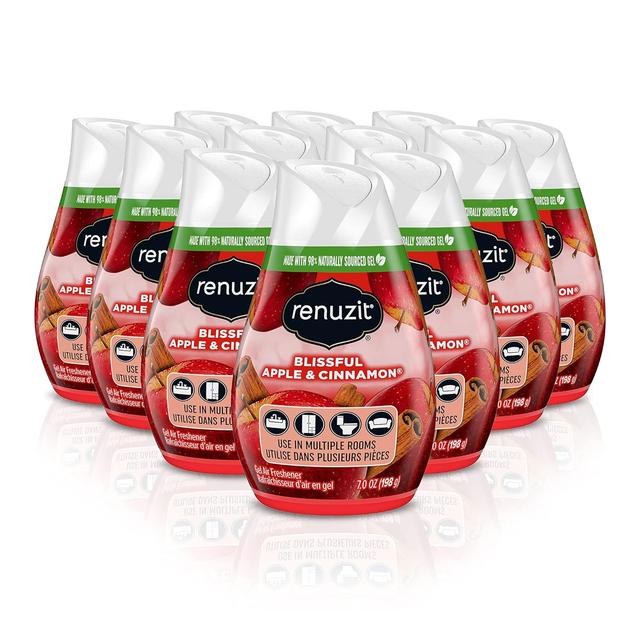 Product image of Renuzit - 1717587 Blissful Apple & Cinnamon Adjustable Gel Air Freshener, 7oz Cone (Pack of 12)