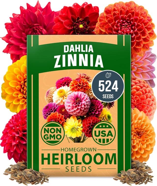 Product image of HOME GROWN Zinnia Dahlia Seeds Pack for 2025 – 524 𝗡𝗢𝗡-𝗚𝗠𝗢 𝗨𝗦𝗔 Flower Seeds | Vibrant Zinnia Elegans for Pollinator Gardens, Borders & Containers | Easy-to-Grow Outdoor Blooms