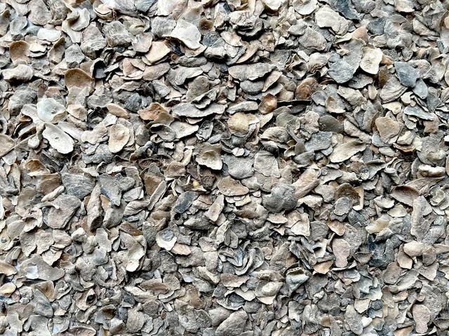 Product image of Bocce Ball Crushed Oyster Shell, natural